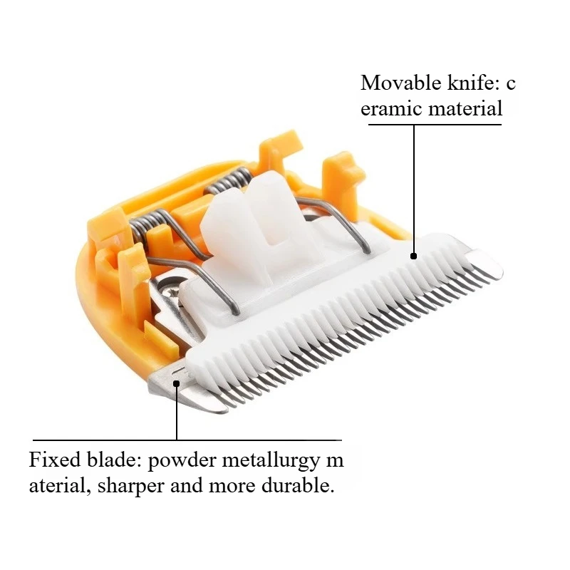 Suitable For Lili Z… - image