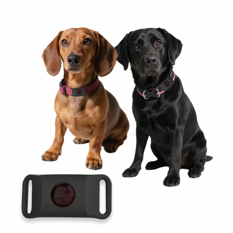 Natural Anti-Flea & Tick Pendant Oils for Dogs & Cats Collar Wearable Pet Tags with Essential Oils to Repel Pests Safely - view 3