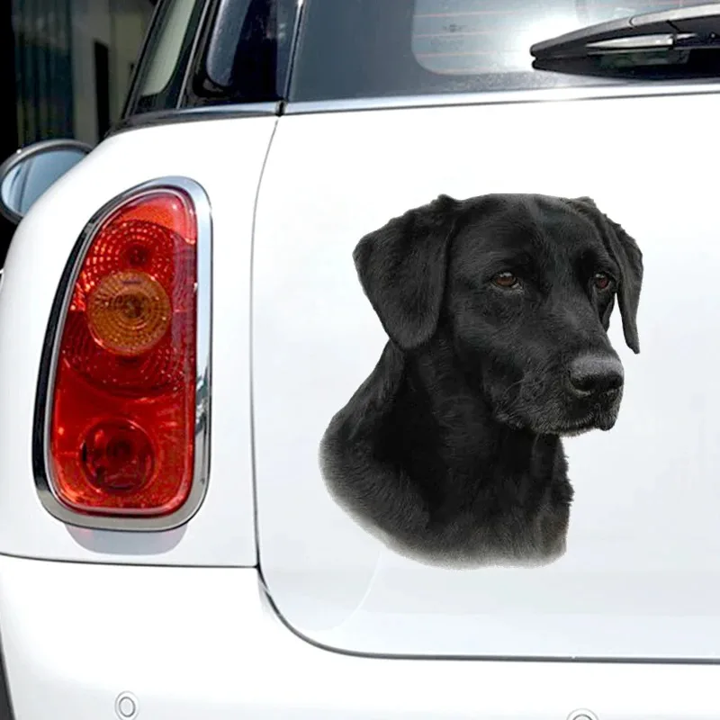 Black Labrador Car Sticker Personality Vinyl Decal Waterproof Car Sticker on Motorcycle Laptop PVC KK