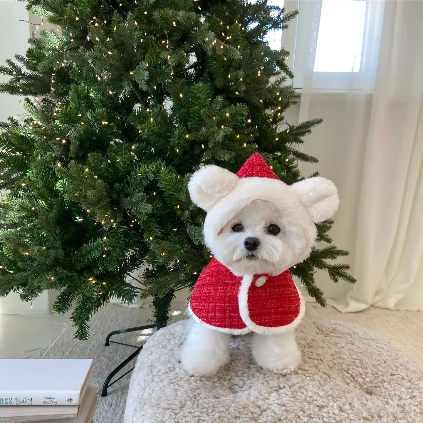 INS Christmas Pet Cloak Ears Hooded Bib Cape Warmth Maltese New Year Dog Party Clothes Pet Coat Fashion Dog Design Dog Clothes