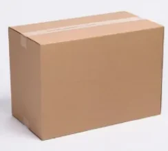 Forno Elétrico Rotativo para Frango Assado para clientes romenianos