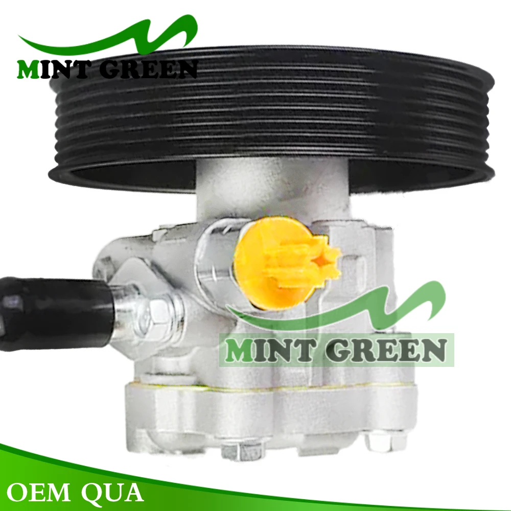 AUTO Power Steering Pump For Nissan Urvan QR25 E25 49110-VZ00B 49110VZ00B