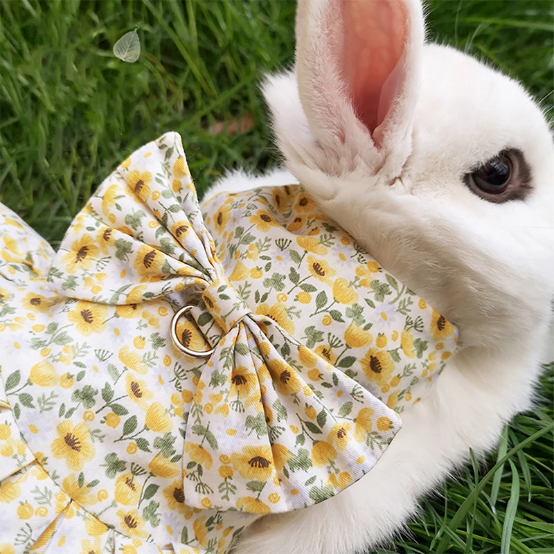 Rabbit Harness Dress with Leash 4