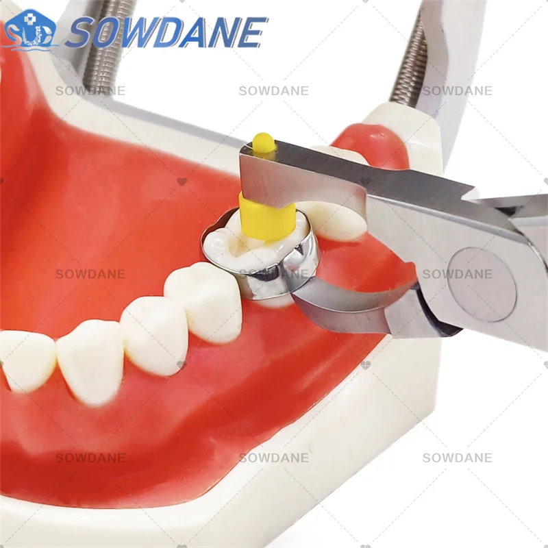 Diş ortodontik orto bandı çıkarma aracı bandı sökücü pense diş ortodontik Forcep pense diş hekimi aracı çıkarın