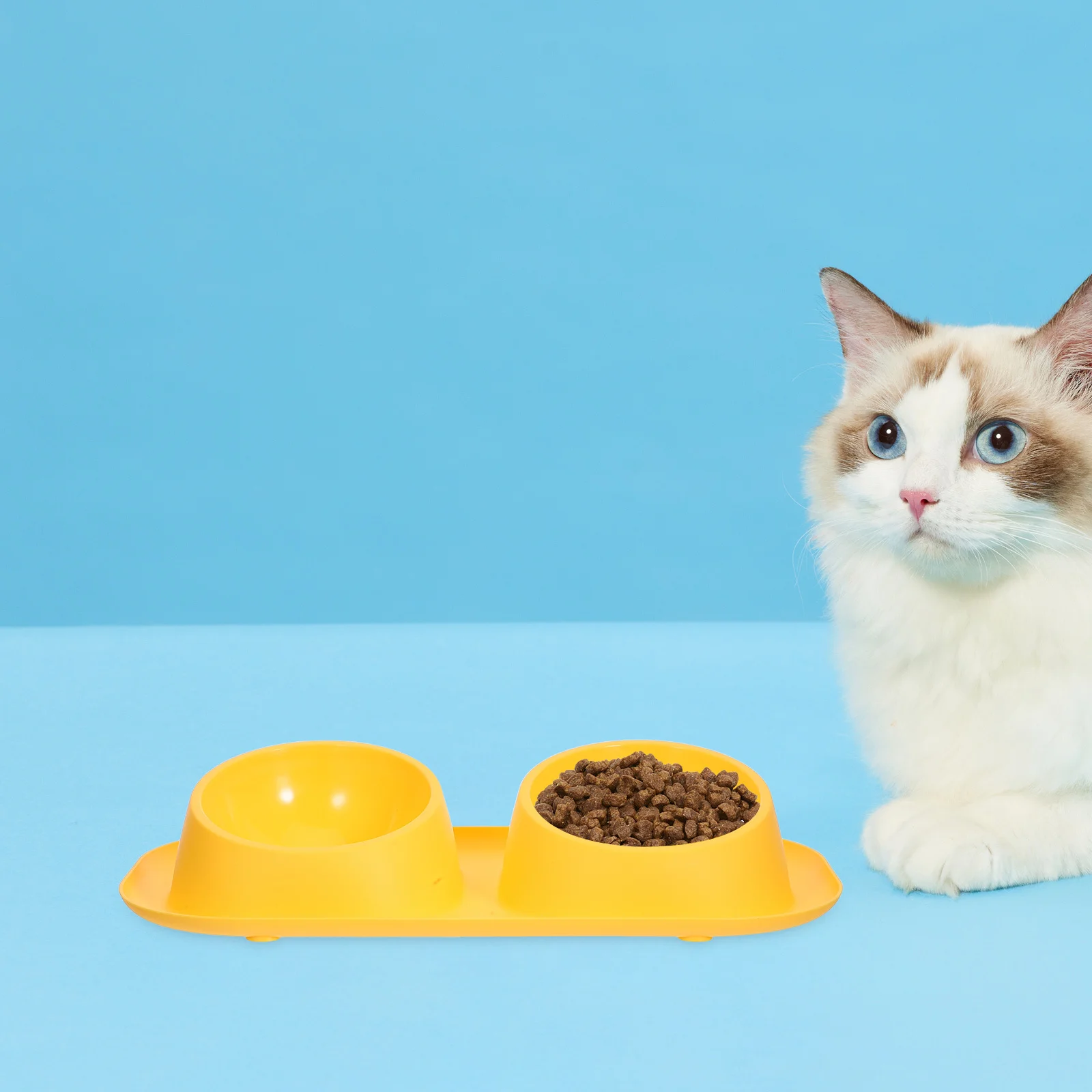 

Pet Double Bowls Cat Food Water Bowl No Spill Non-Slip Lightweight Plastic Feeder For Indoor Outdoor Use Puppy Kitten Dog