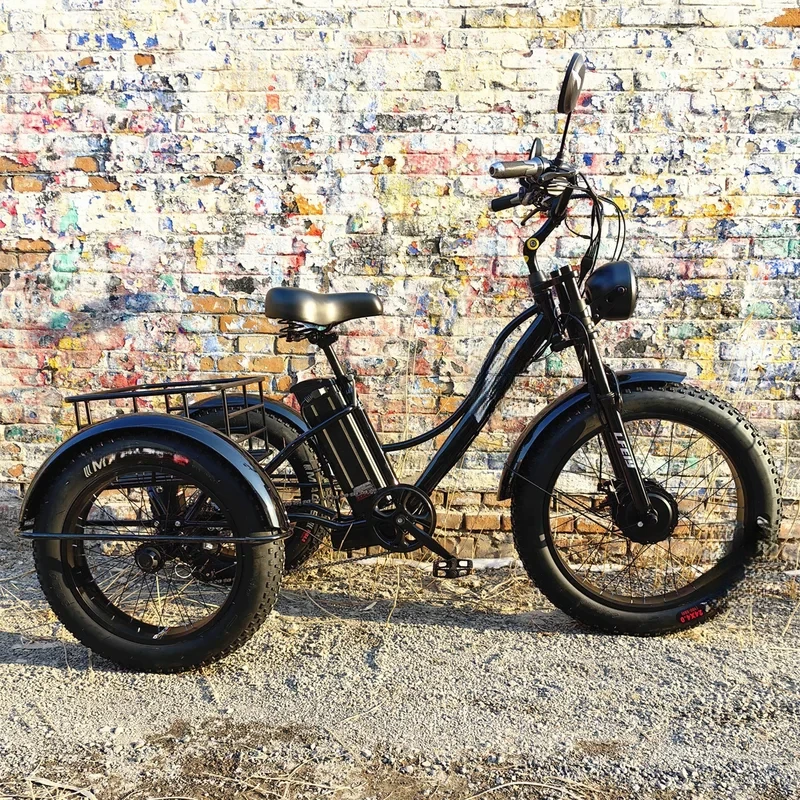 

20" 4.0 Big Fat Power Snow Tire 48V 750W 15AH Lithium Battery on Sale Good Quality Basket Cargo Electric Tricycle