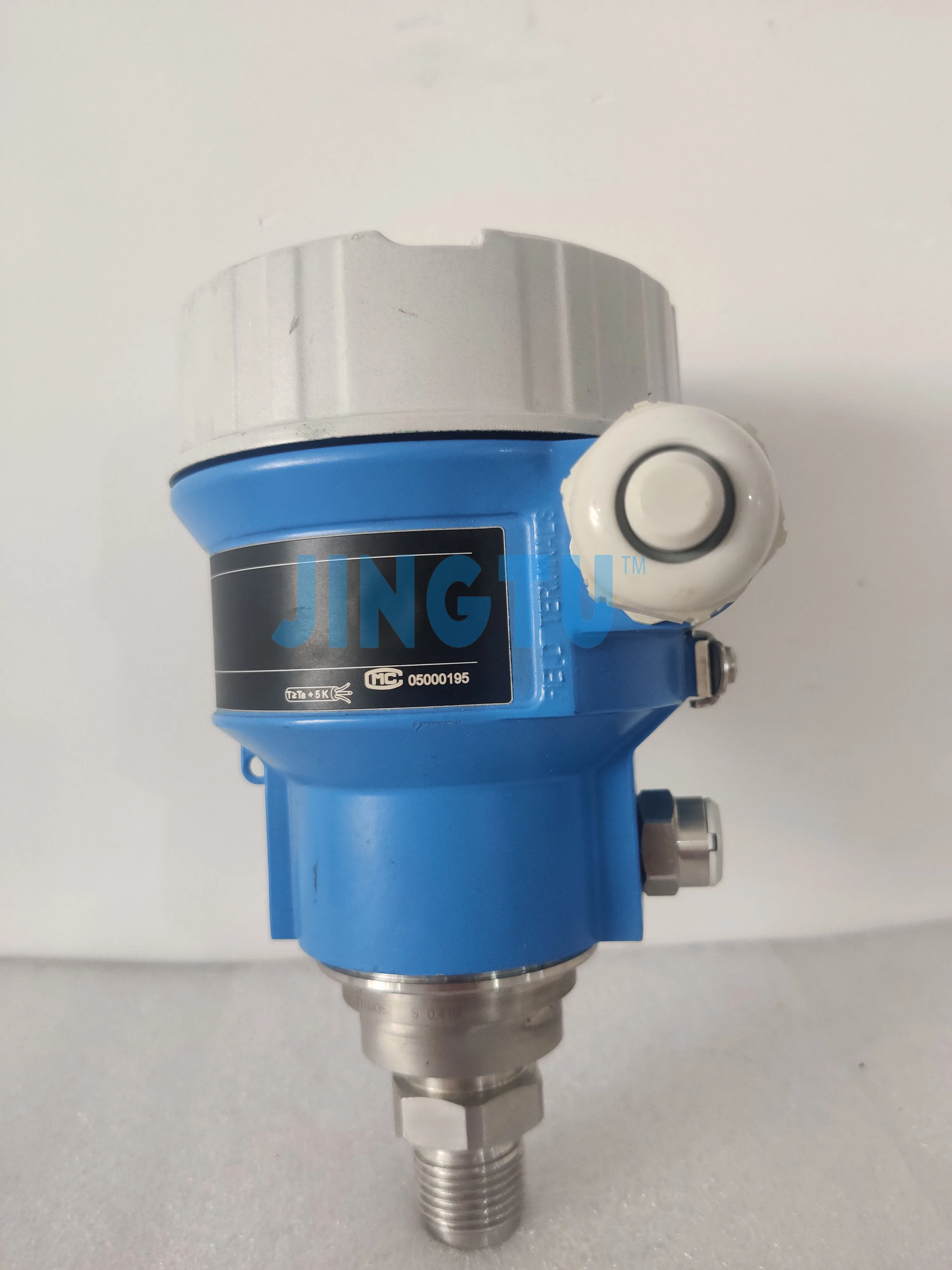 E + H Endress + Hauser Absolute and gauge pressure Cerabar PMP51 pressure transmitter Pressure sensor