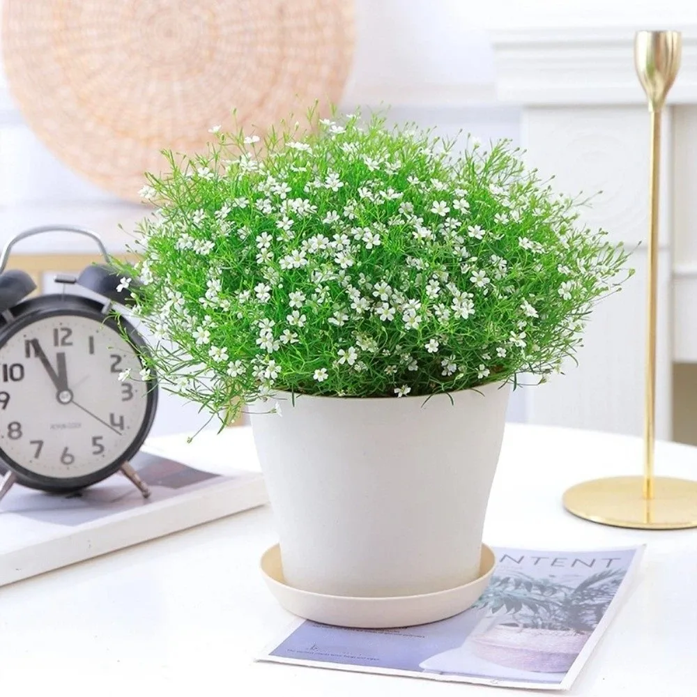 

8 шт./компл. цветочный горшок ярких цветов, пластиковый утолщенный горшок для растений с дренажными отверстиями, круглые горшечные горшки, уличные растения