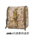 AOR1