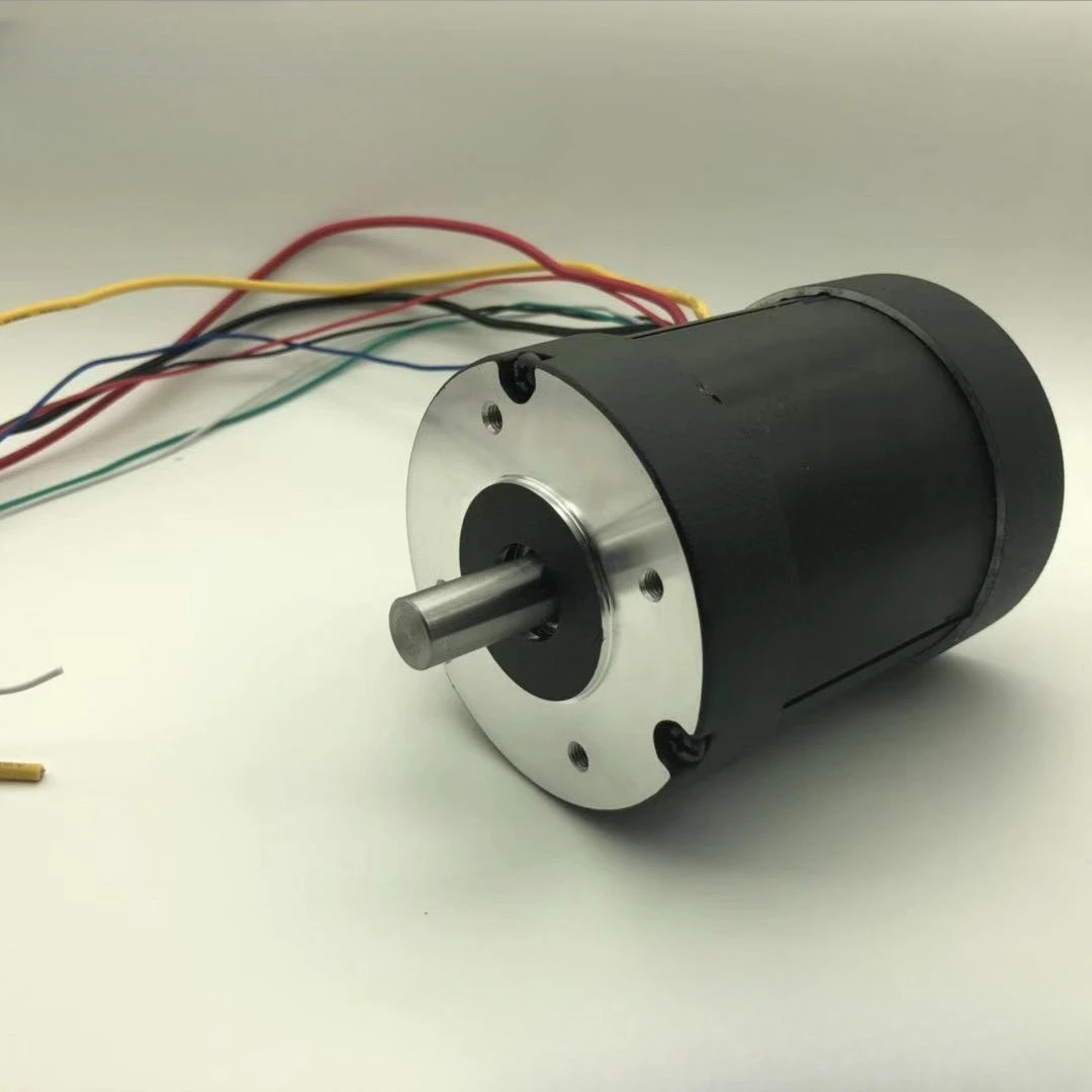80Mm DC brushless motor 12v 24v 36v 48v 220v Power 100w 200w 300w 500w