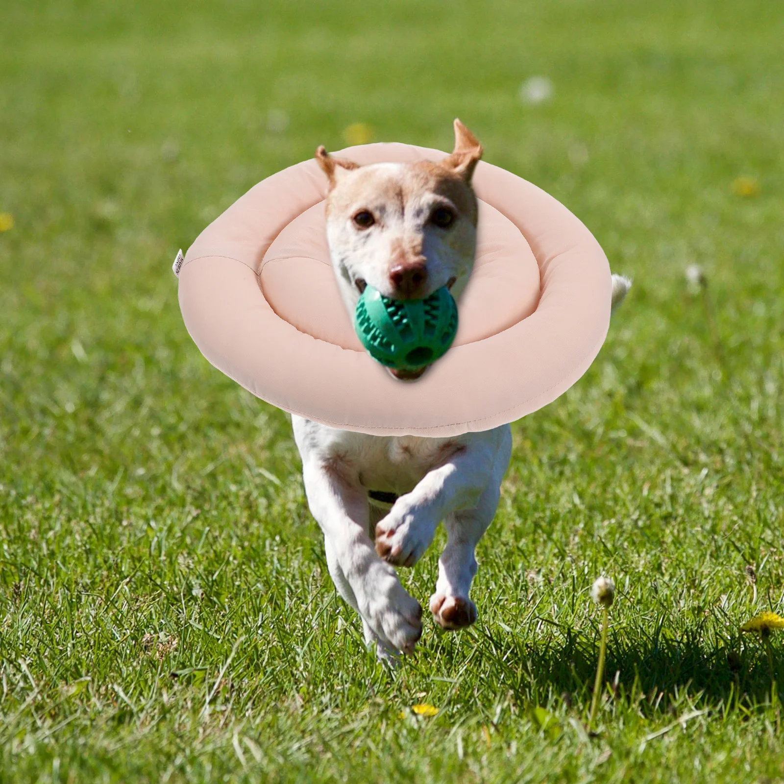 

Soft Adjustable Dog Cone Collar Waterproof Pet Recovery Collar Comfortable Flexible Dog Cone for Surgery Aftercare