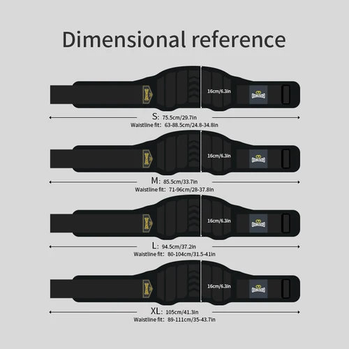 Imagen 2 del producto GOUNOD cinturón de levantamiento de pesas soporte de espalda cinturón de entrenamiento gimnasio sentadillas peso muerto levantamiento de pesas entrenamiento cruzado para hombres y mujeres