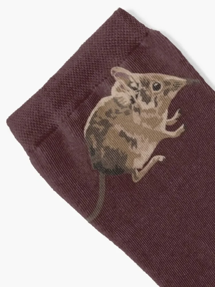 Elephant Shrew Portrait Socks custom sports gifts Socks Women Men's