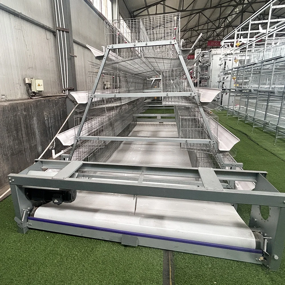 A-Type 3/4 Tiers Layer Hen Cage Hot Galvanized for 10000 Laying Hens with Automatic Water Supply and Manure Cleaning System