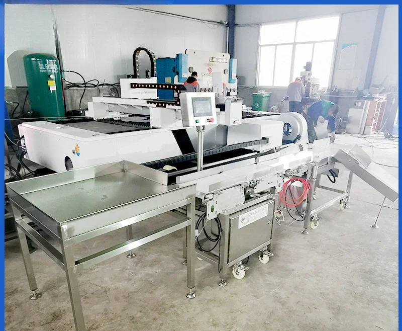 Yellow croaker automatic belt sorting machine, pomfret sorting machine, crayfish multi-stage sorting machine equipment