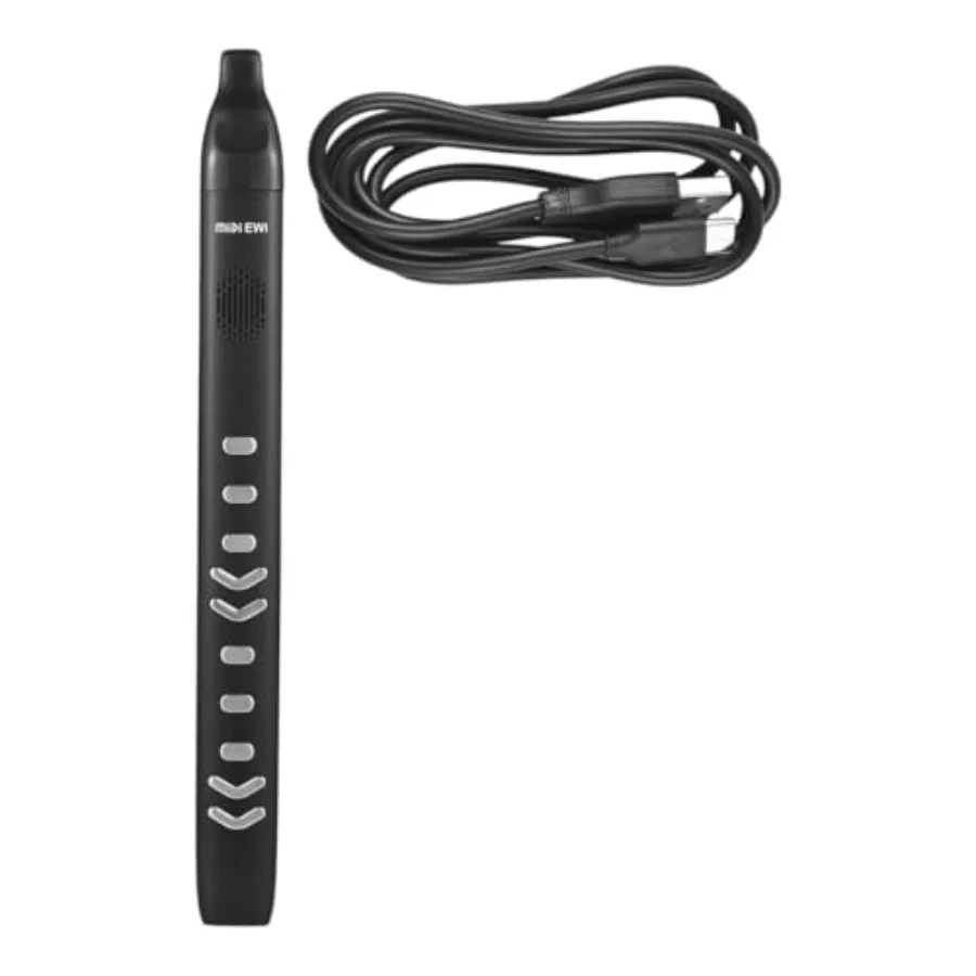 

Electronic Wind Instrument Portable Synthesizer with 10 Tones Adjustable Blowing Sensitivity Built-In Speaker in Black
