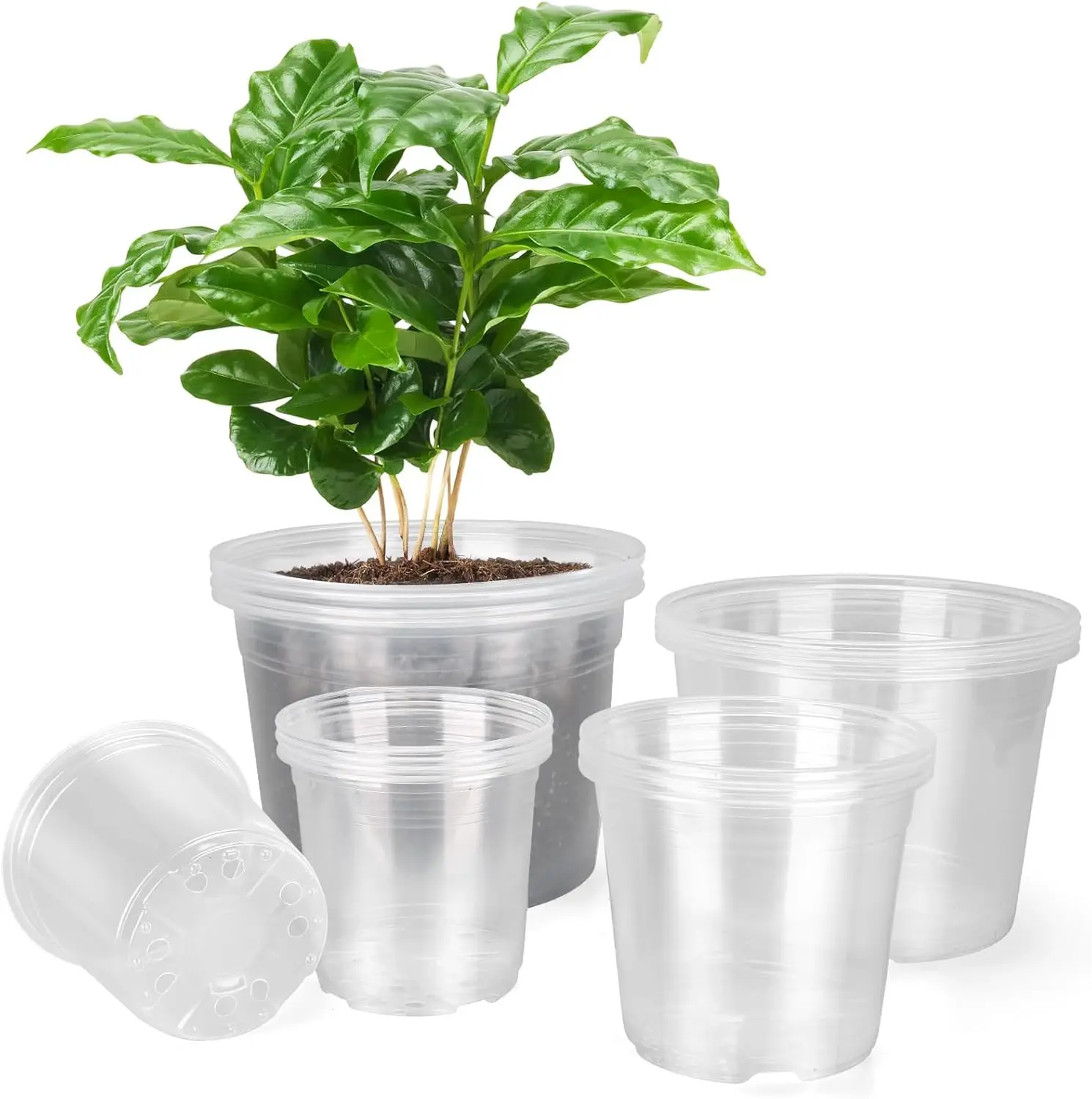 

10/8/6/5 Inch Large Clear Nursery Pots with Drainage Holes, 16 Pack Gallon Clear Plastic Pots for Plants, Seedling Start