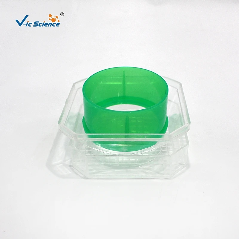 Insect box insect observation box magnifying glass 3 times primary school science insect collection breeding observation box