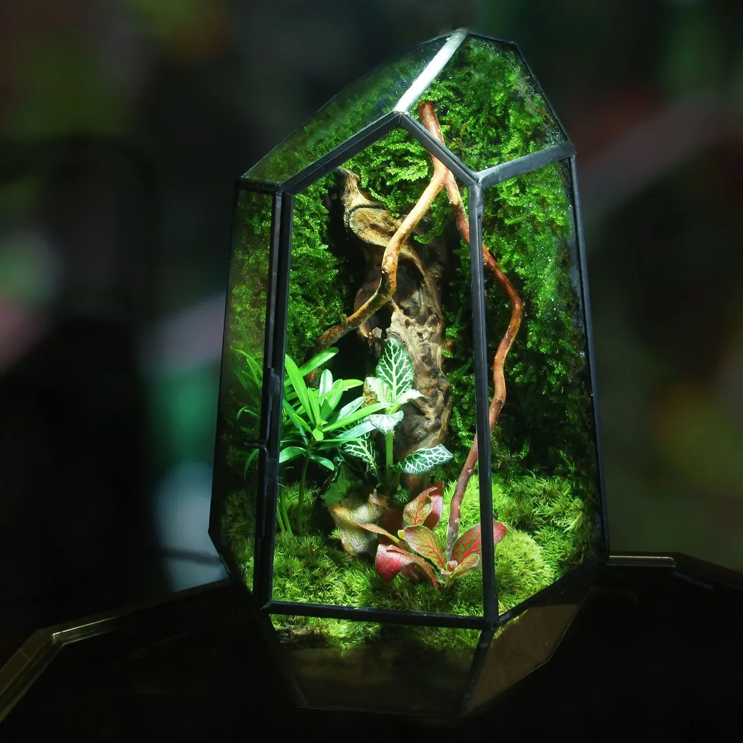 Micro Landscape Vase Six-sided Cut Glass Conservatory with Door Preserved Flowers and Moss Transparent Creative Flower Pot