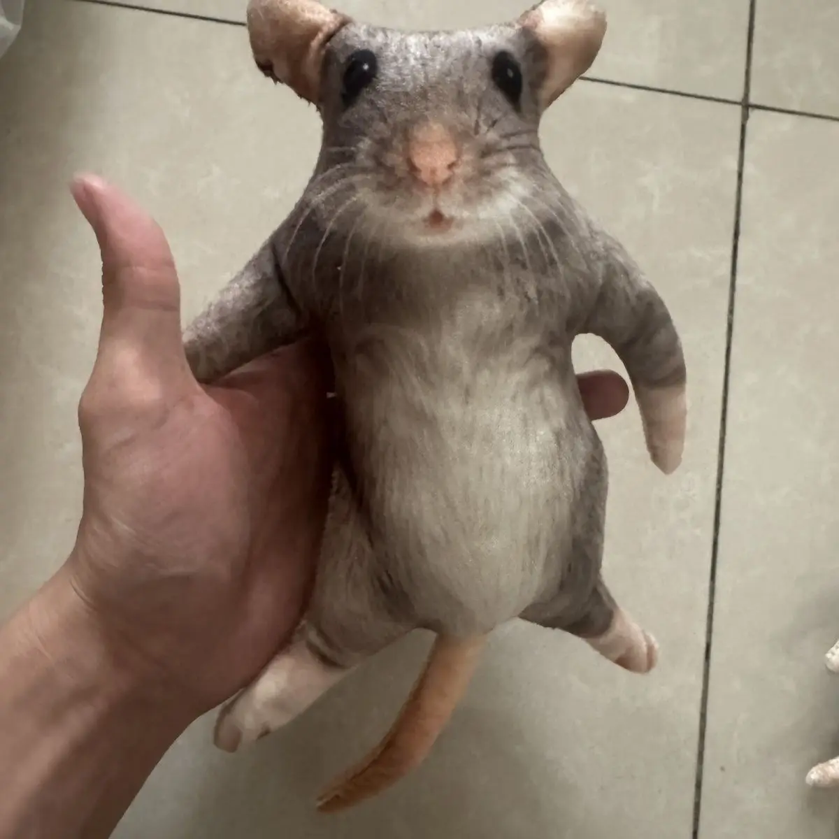 Simulated Dried Mouse Pendant,Humorous Gag‑Style Ornament For Hobbyist Collectors Personal Display And Unique Household Decor