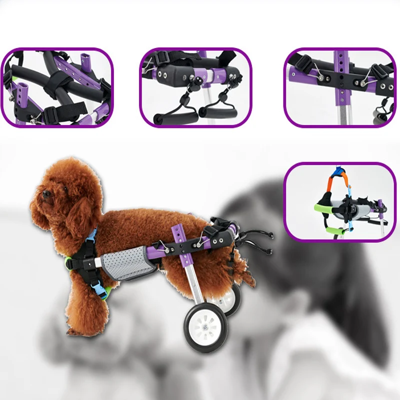 High Quality Pet Dog Car Disability Wheelchair Scooter Manufacturer Wholesale Training & Behavior Product