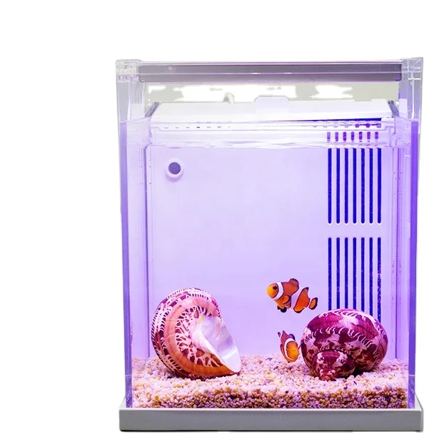 Desktop Mini Acrylic Aquarium Back Filtration System Desktop Decoration Holiday Gifts Plastic Goldfish Betta fish tank