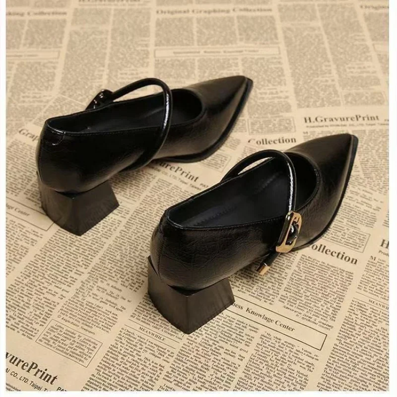 2025 Premium Leather Mary Janes - French Vintage Pointed Toe Pumps Chunky Heel Single Strap Shoes Buckle Decor
