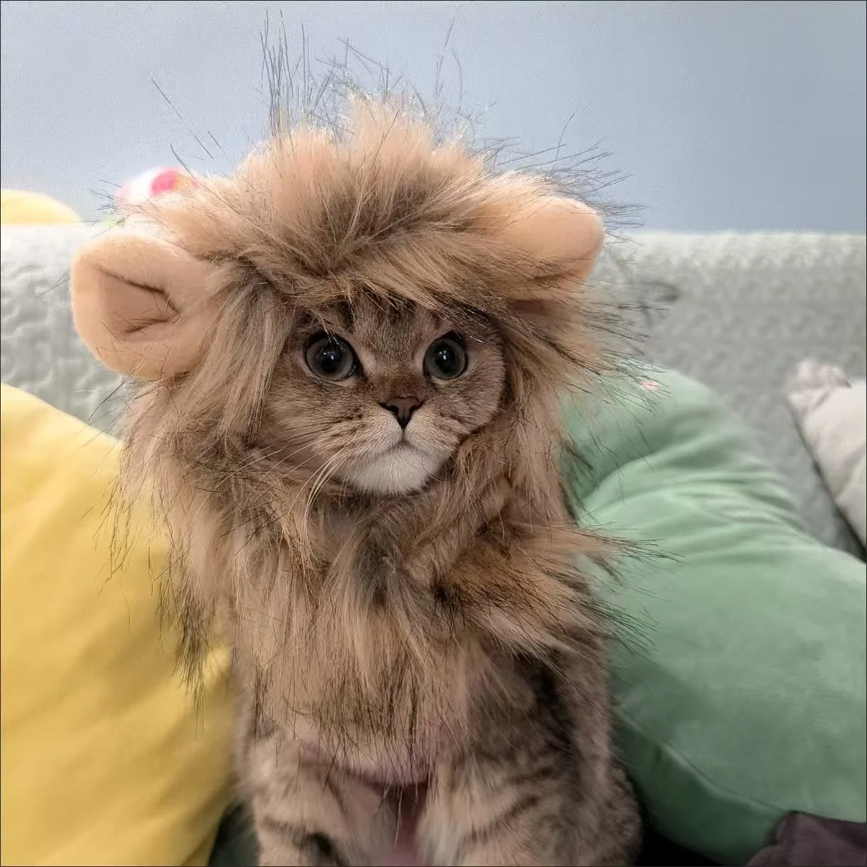 Funny Lion Mane Pet Costume Cosplay Lion Wig Hat For Small Dogs Cat Halloween Dress Up With Ears Puppy Kitten Outfits Party Gift