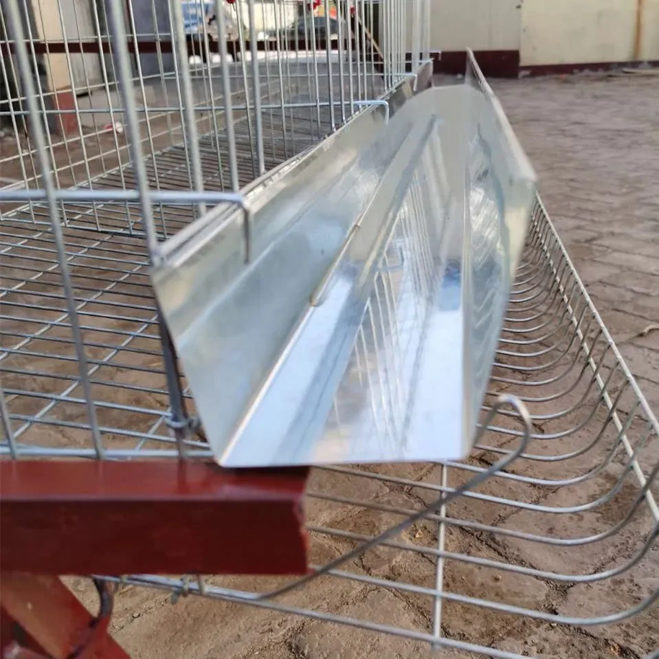 Chicken Farm Cages Poultry Cage Egg Chicken Duck Layer Cage Price Burly Convenient