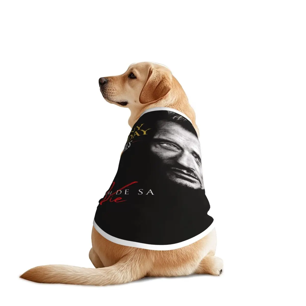 Johnny Hallyday Rock chalecos para mascotas chaqueta transpirable cantante francés Francia ropa para perros grandes decoración para suministros para mascotas