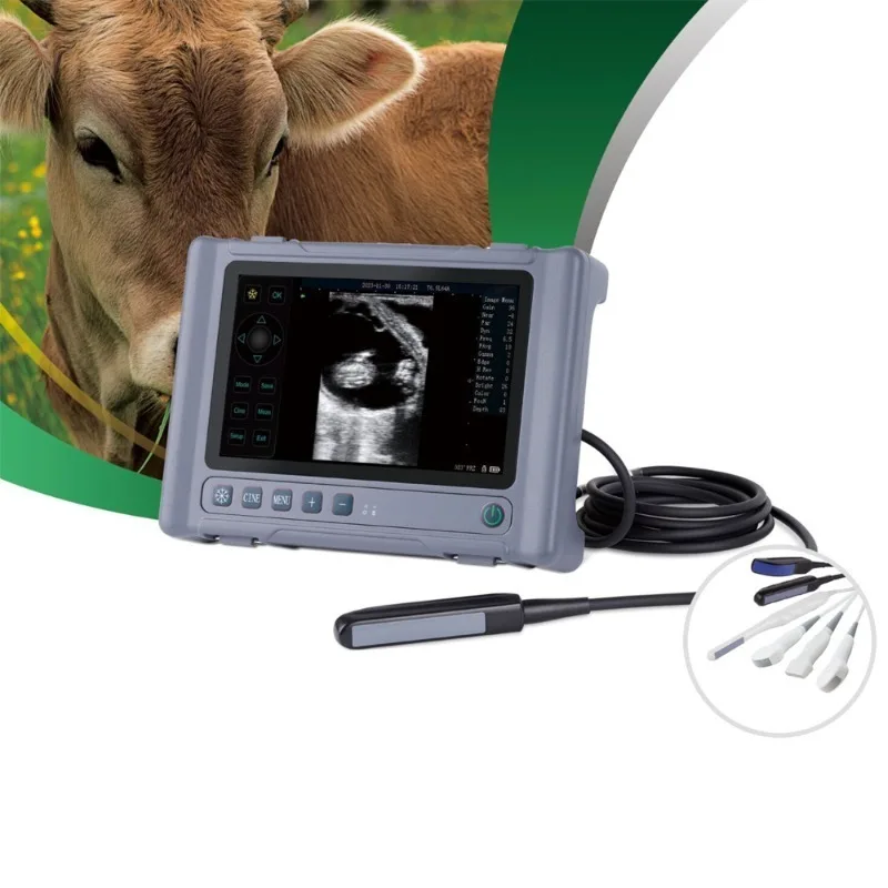 

Vet Veterinary Handheld B-mode Ultrasound Scanner: Portable Diagnostic Imaging Equipment for Pet Supplies