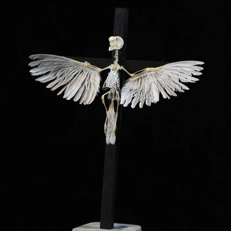 2003 Original Custom Cross Bird Desktop Room Bone Ornaments Gothic Style Bone Specimen Decoration Birthday Creative Gift