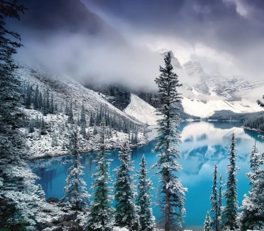 

9500E 9501E Радиоуправляемая машина в масштабе 1:16, 40 км/ч, мощный багги на 4WD, внедорожный рок-гусеничный автомобиль с высокой скоростью