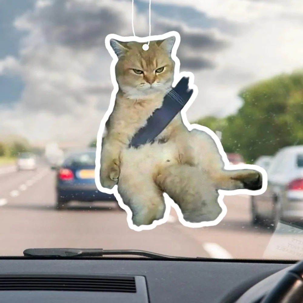 Tsundere Co-Pilot Cat Car Dufthalter – Pouty Face Meme, Spiegelentlüftung zum Aufhängen, anhaltender Duft