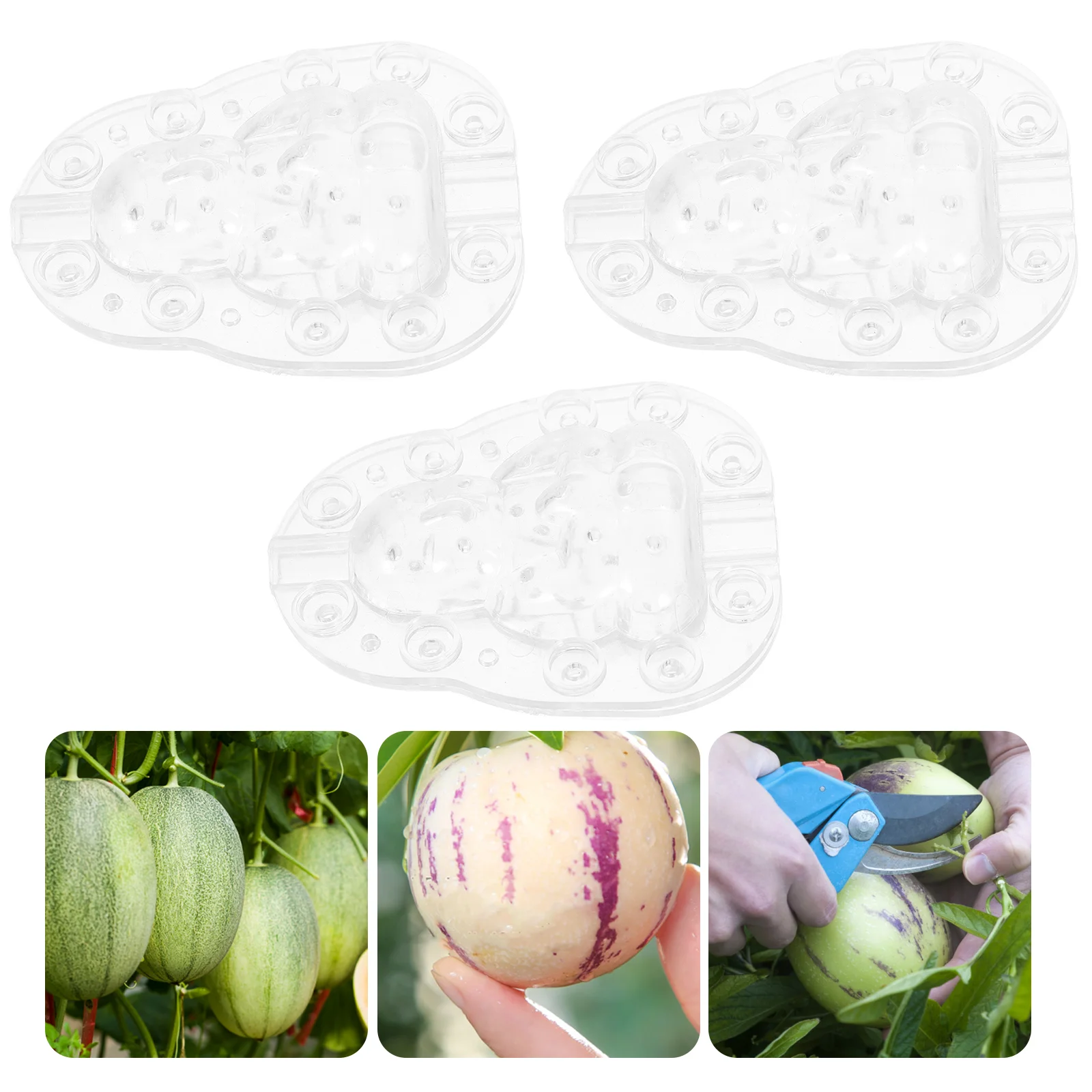 3 Pcs 8cm Creative Buddha Fruit Growing Mold Ginseng Shape Melon Shaping Sturdy Plastic Gardening Molds For