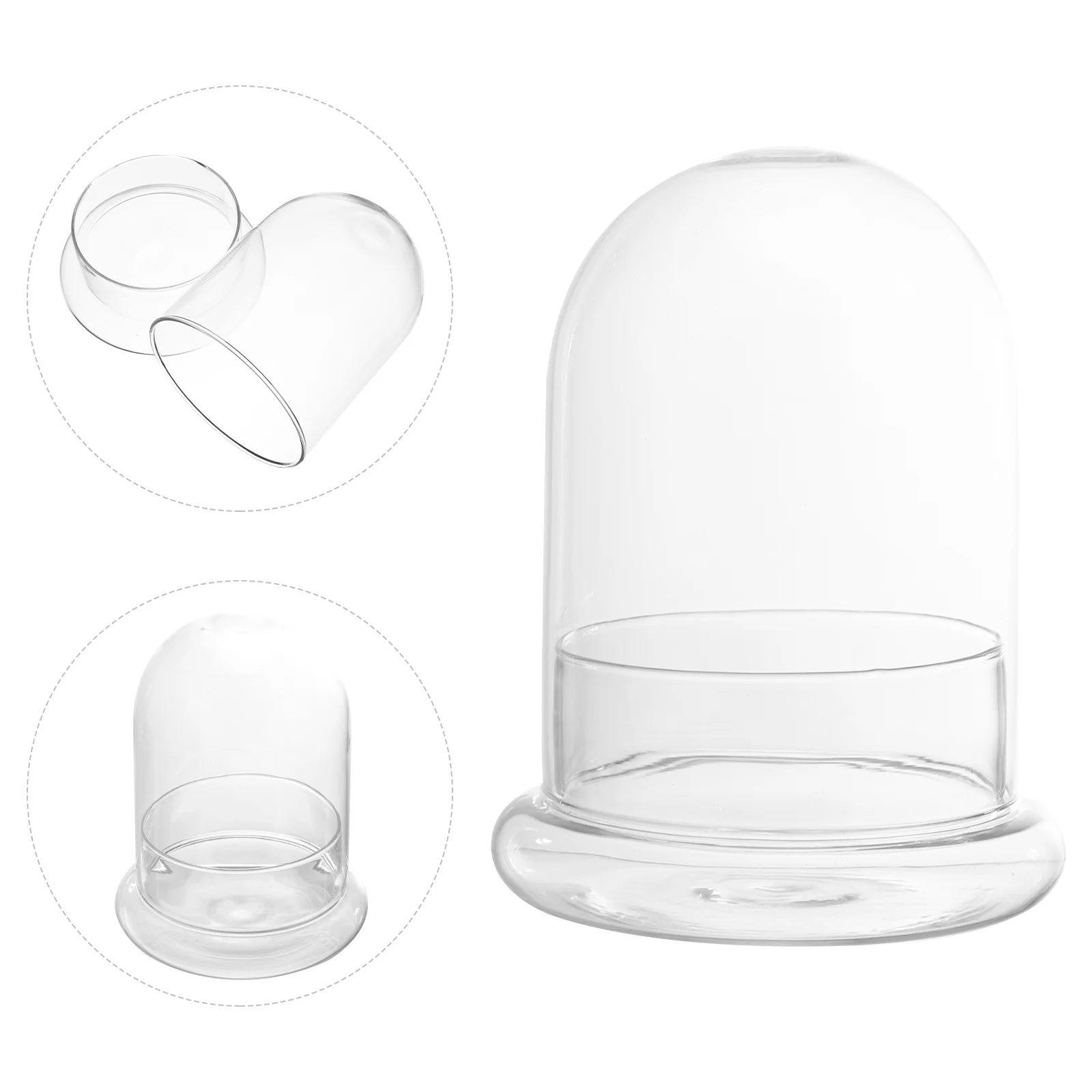 

Ecological Bottle Clear Glass Dome Miniature Ornament Display Micro Landscape Bottle for Home Office Decoration Tabletop
