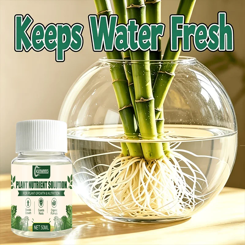 Hydroponic Plant Nutrient Solution for Clear Water Quality Root Protection Growth Promotion And Extended Viewing