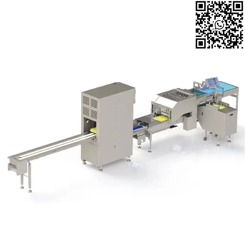 Custom Automatic Egg Weight Grader Commercial 5 Level Sorting Machine Galvanized Wire Body Best Selling Poultry Equipment