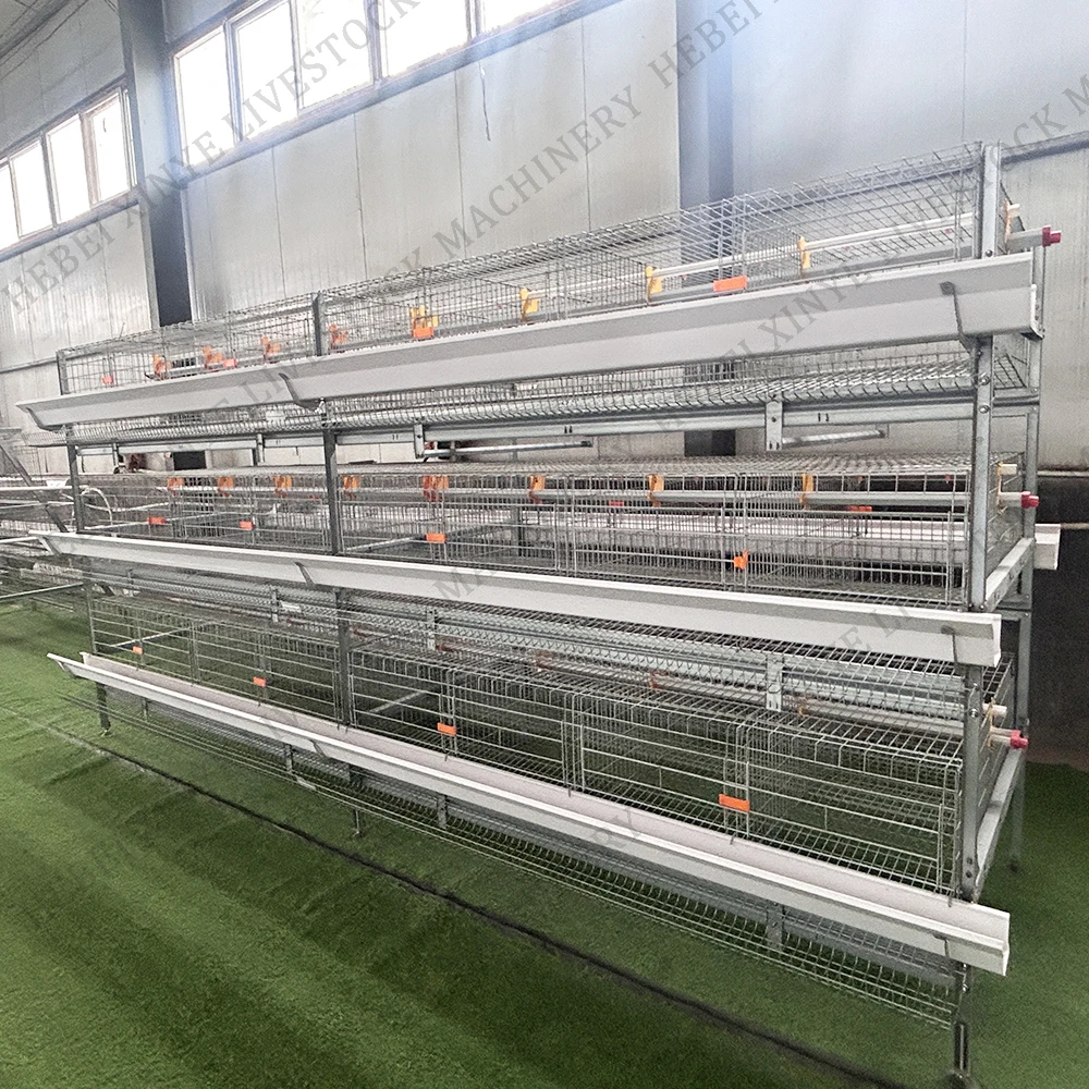 Egg Chicken Cage Manure Cleaning Battery Cages Hot Sale h Type Poultry Farm Design Layout Cage for Sale in Ghana