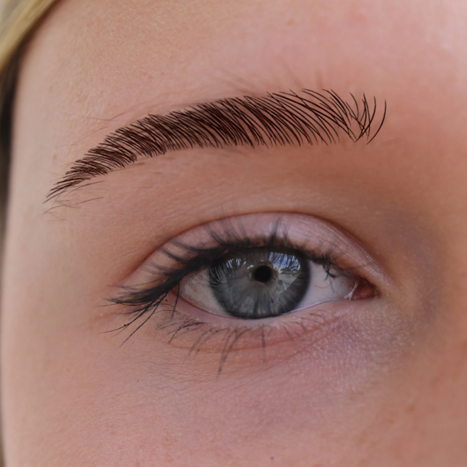 

5 Sheets Girls Eyebrow Sticker Stickers Artificial Tattoos Hair Dark Brown Pencil