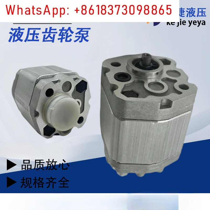 Pompa dell'olio idraulico RGP-F113 RGP-F118 Pompa a ingranaggi idraulica RGP-F106/F116/F180/F121