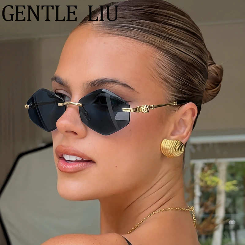 

Photochromic Hexagon Rimless Sunglasses Women 2026 Luxury Metal Frameless Leopard Sun Glasses Lady Punk Polygon Eyewear Shades
