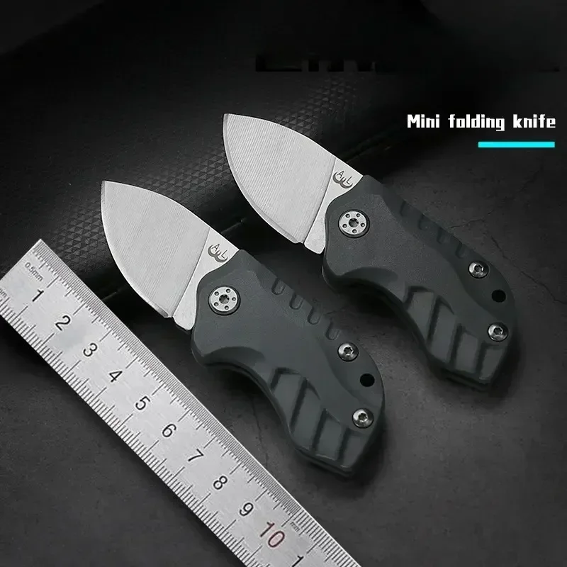 Multi Stainless Steel Small Knife Outdoor Mini Folding Knife    Portable Keychain Carrying Knife Express Unpacking Pocket Knife