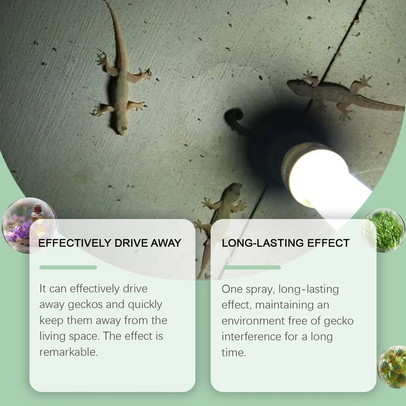 Repellents for House Gecko Spray 50ml Natural Lizard Repellents Powerful Reptile Deterrents Pet Safe Repel Repeller for Ants