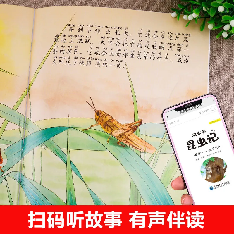 Faber Insect Chronicles 10 Volumes, Children's Science Popularization Picture Books, Extracurricular Reading Books