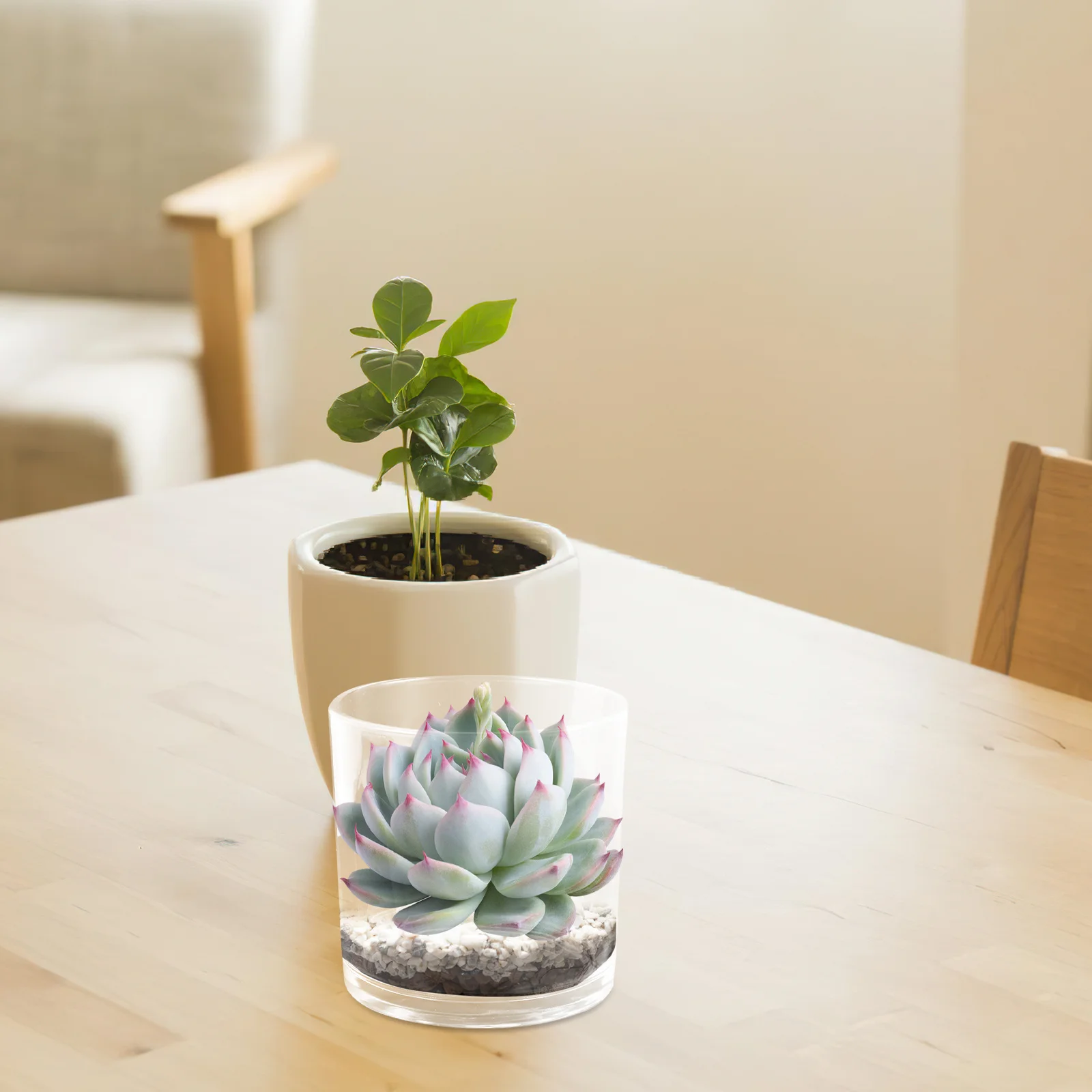 

Fish Tank Desktop Aquarium Clear Glass Betta Tank Goldfish Decorative Flowerpot Office Use Fish Tanks Office Supply