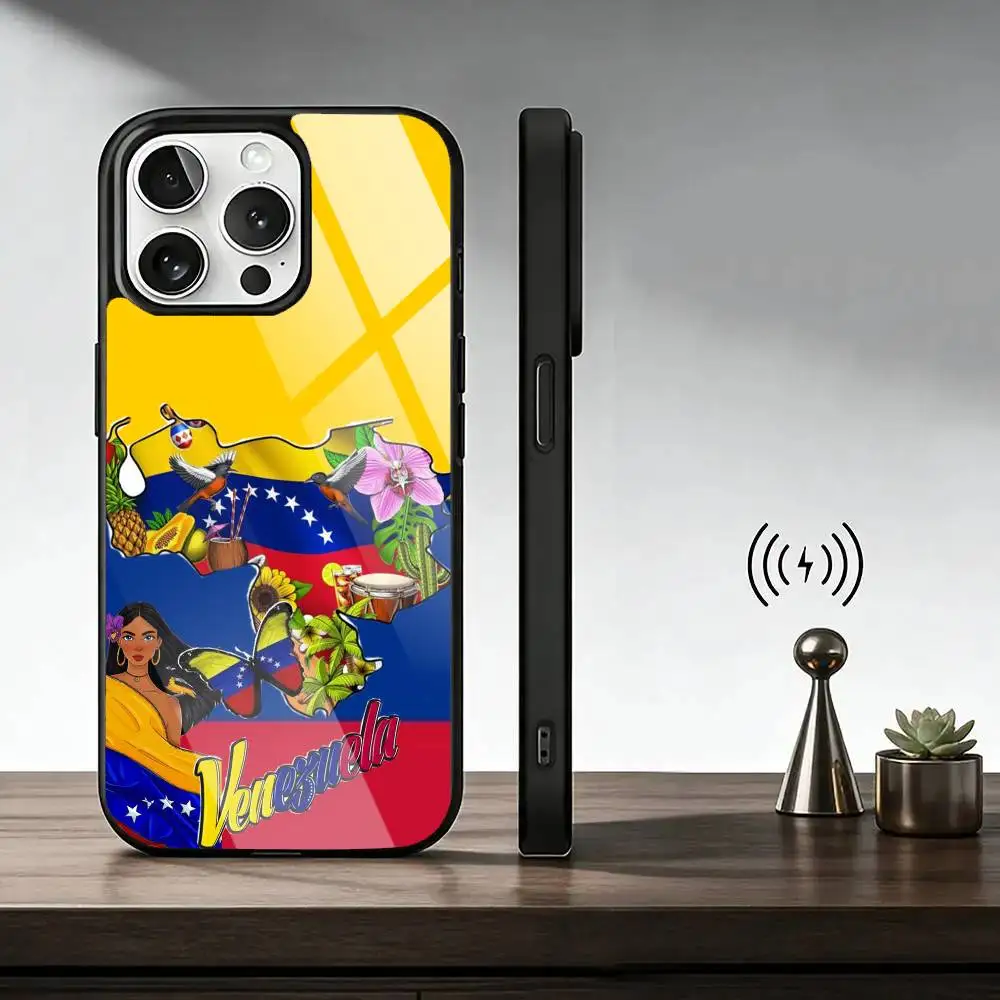 Venezuela-a esthetic-c Art  Phone Case For iPhone17,16,15,14,13,12,11 Plus,Pro Supports Magnetic Wireless Charging