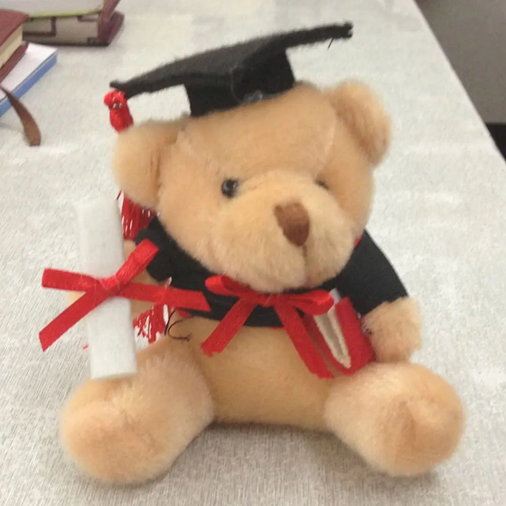 Portachiavi per bambola di peluche di cartone animato Simpatico orso in pelliccia con pompon Orso Regali per orsi di laurea Borsa portachiavi giocattolo Dr. Bear