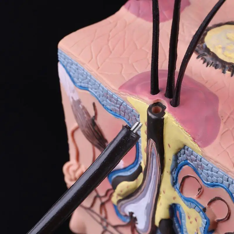 PXPA SICK DOG DOG CANINE CANINE SKINAMICAL MODER