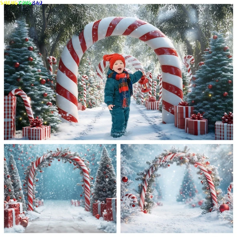 Fonds de photographie de paysage hivernal avec arche de porte, décoration de Noël, chemin forestier, accessoires photo